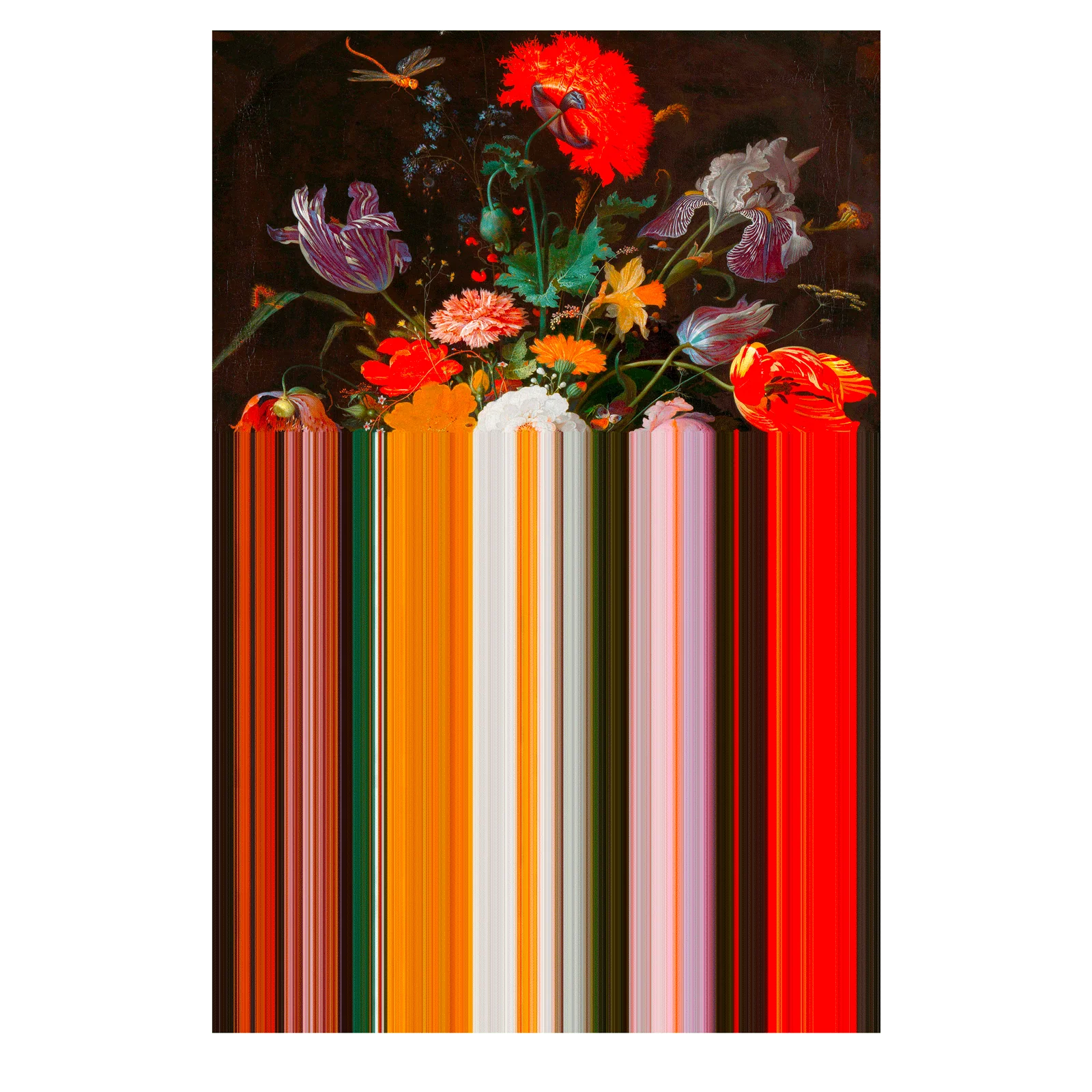 Glitch Red Rectangular Carpet by Qeeboo