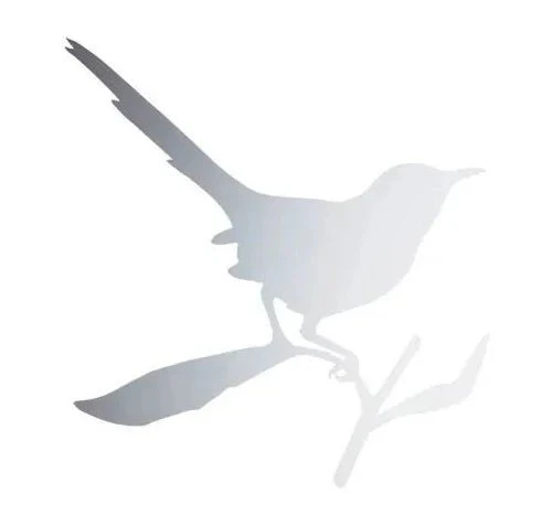 Taylor Bird Mirror by Driade